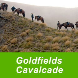 Cavalcade