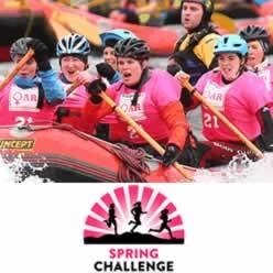 Spring Challenge