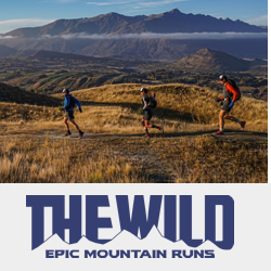 The Wild